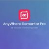 AnyWhere Elementor Pro WordPress Plugin