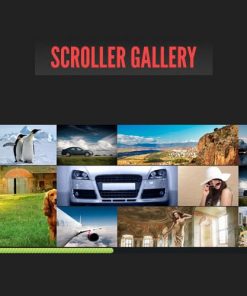 DZS Scroller Gallery