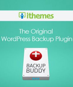 IThemes BackupBuddy WordPress Plugin