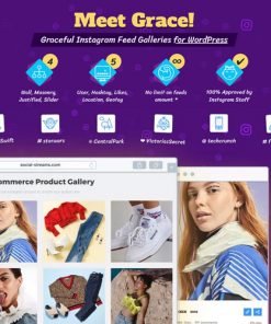 Instagram Feed Gallery — Grace for WordPress
