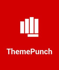 ThemePunch